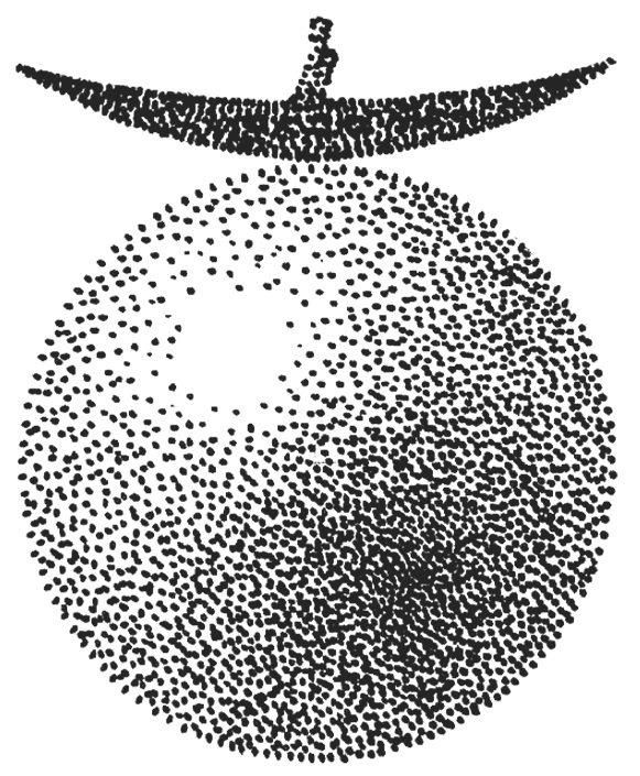 logo Les Éditions du Canoë