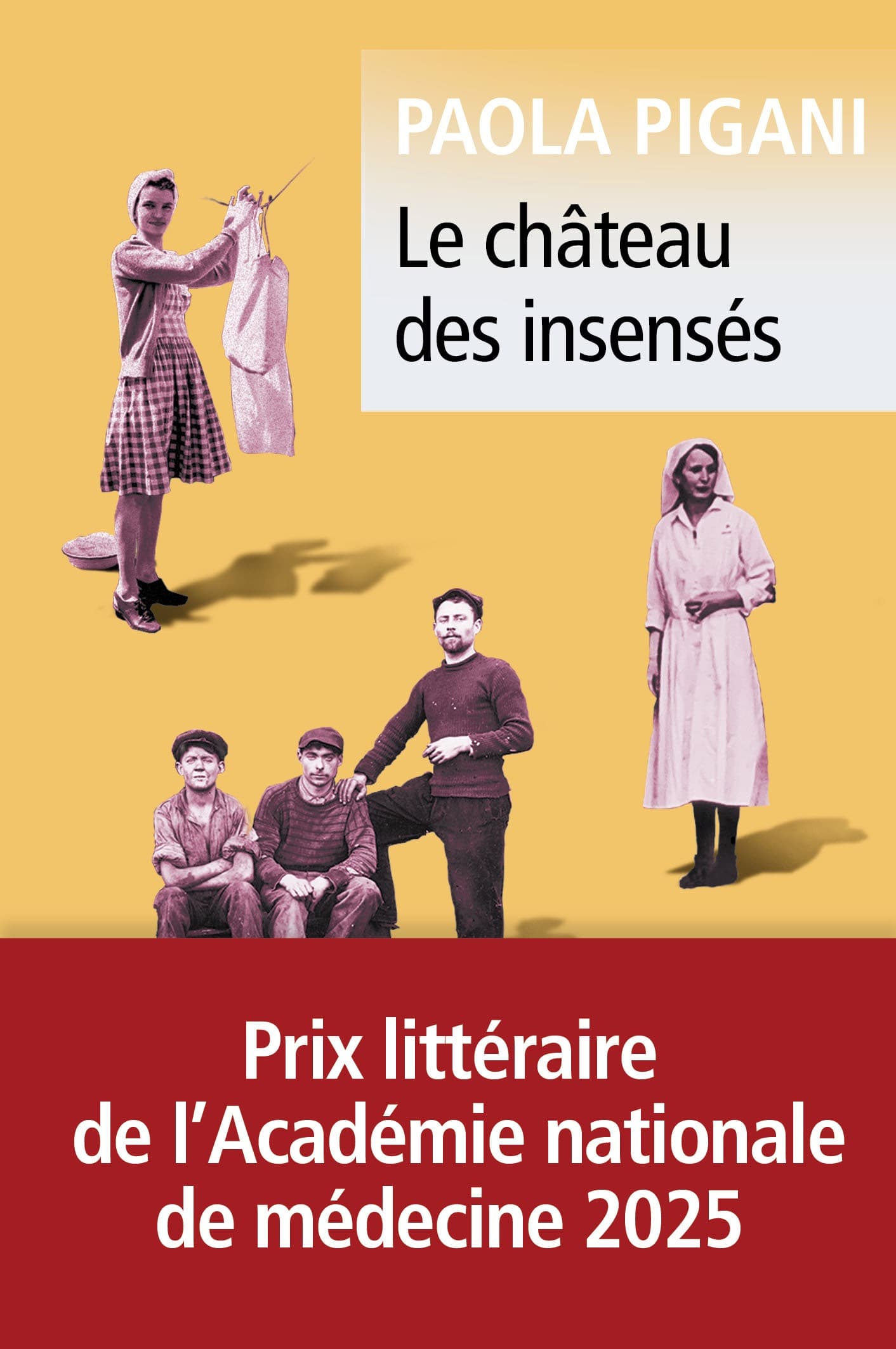 "Le Château des insensés" by Paola Pigani