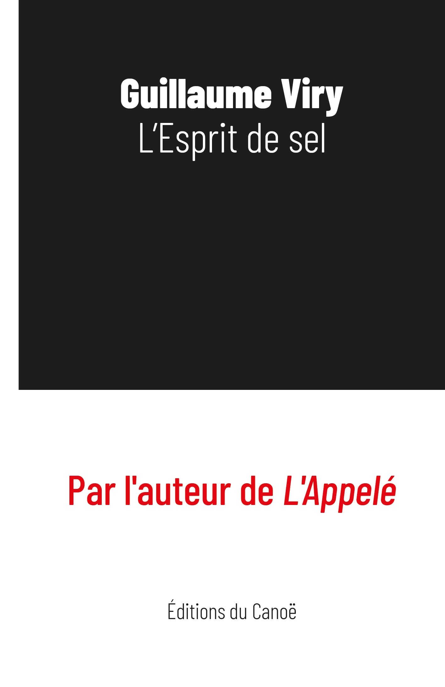 L'esprit de sel