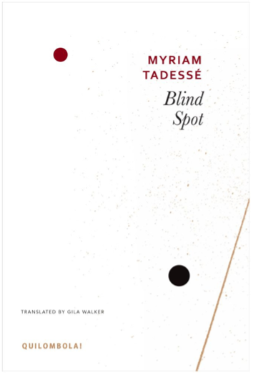 English title : Blind Spot