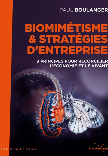 Biomimicry and Business Strategies